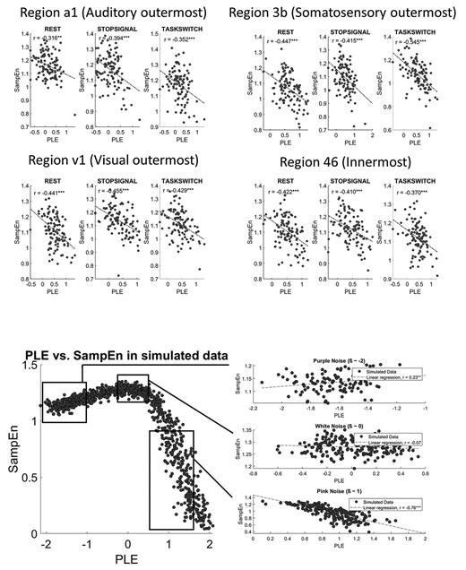 Relationship between PLE and SampEn. Top 4 panels show correlation of PLE and SampEn in empirical data, in the outermost regions (a1, 3b, v1) and innermost region (region 46). This selection is made to ensure that the trends in regions of a system won’t affect correlations. Bottom left panel shows the scatterplot with the simulated data of the synthetic signals generated with a model of noise with different slopes (−2 to 2). 1000 pink noise signals were generated and the PLE and SampEn were computed as in empirical data. Bottom right upper panel shows.
