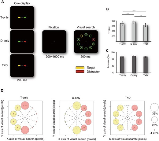 Task schematic and behavioral results. (A) Illustration of the sequence of events within a trial. The cue display was fully predictive (with 100% validity) of the side on which the subsequent target or distractor would appear (yellow represents the target; red represents the distractor; green has no meaning). Participants were required to identify the orientation of the gray line (horizontal or vertical) inside the yellow target circle. Right panels show performance in terms of RTs (B) and accuracy (C) for the 3 different cueing trials. Error bars indicate ±1 standard error of mean (SEM). **indicates P < 0.010. The abbreviated letters indicate the 3 cue display configurations as follows: T-only, target side-cued; D-only, distractor side-cued; T + D, spatial information provided for both target and distractor sides. The 3 cues were randomized within each block. (D) The spatial probability of target and distractor occurring during subsequent visual search with respect to 3 cue trials.