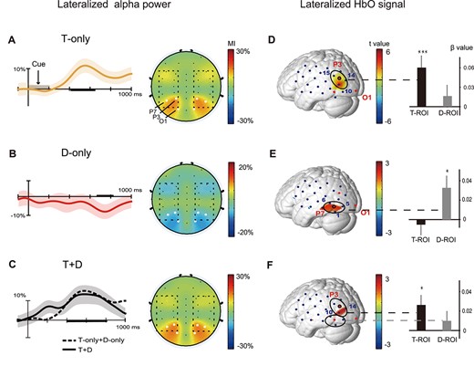 EEG and fNIRS results. Left: the grand average of alpha MI values (±SEM error bars) for a trial time window (−100 to 1000 ms) for the T-only (A) and D-only (B) and T + D cueing trials (C) across participants. The scalp topographies show opposite patterns of alpha MI and significant electrodes (white dots: P7/P8, P3/P4, O1/O2) within the posterior brain regions. The dashed square on the EEG topographies shows the scope of the fNIRS measurements. Right: the T-map shows regions with significant contralateral effects (contralateral > ipsilateral; P < 0.050) for the T-only (D), D-only (E) and T + D cueing trials (F) across participants. Note that we have shown the left view instead of the mirror-image views of lateralized HbO activity. (*P < 0.050,***P < 0.001).