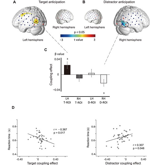 Coupling effect between lateralized alpha power and original HbO. The T-map shows positive coupling for the T-only cueing trials (A) and negative coupling for D-only cueing trials (B) within subjects. The statistical parameters are thresholded at P < 0.05. The bottom bar graphs (C) illustrate positive coupling in the left T-ROI for T-only cueing trials and a significantly inverse coupling in the right D-ROI for D-only cueing trials. (*P < 0.05). Correlation between the coupling effects and RT for the T-only cueing trials (D) and D-only cueing trials (E). Note that the cue could point to either the right or left visual field.