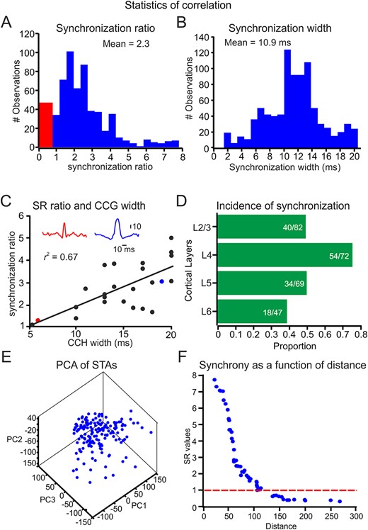 Cortical neuronal synchrony is stimulus-dependent. (A, B) Distribution of SR values. The red bins show the SR values <1 (see Methods section and Supplementary Fig. S2 for calculating this measure). (B) Distribution of the width of the central peak of all CCH. (C) The relationship between SR values and width over 24 conditions in paired neurons. In the inset, red and blue CCH are examples of the two conditions (red and blue dots in the correlation). (D) The proportion of significantly synchronized neurons from all recorded pairs in the different cortical layers. (E) A graphical representation of PCA. Each point in the 3D plot represents the three PCA components of the STA of each neuron. (F) The relationship between the Euclidean distance between paired recordings in (D) and its corresponding SR values.