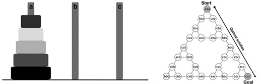 The 5-disk version of the Tower of Hanoi (left) and the graphical representation of the optimal solution for the 3-disk version (right). Each node represents the distribution of the disks, listed from left to right in order of increasing size, and each edge represents a move from one configuration to another. The puzzle starts off with all 3 disks on the left-most peg (aaa), ending in the goal configuration with all 3 disks on the right-most peg (ccc). Only one series of moves results in the optimal 7-move solution for the 3-disk problem. More complicated versions (e.g., the 5-disk problem) can be solved by recursively applying the logic needed to solve the 3-disk problem, iteratively, several times. Figure adapted from Fogel et al. (2015).