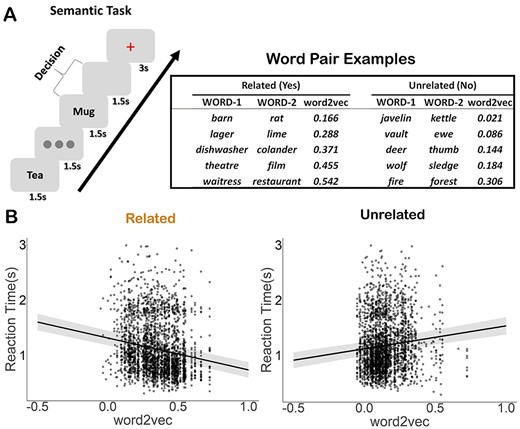 Experiment paradigm and behavioral results. a) Left-hand panel: Semantic association task; participants were asked to decide if word pairs were semantically related or not. Right-hand panel: Word pair examples for both related and unrelated decisions from one participant, with association strength increasing from weak to strong. Trials were assigned to related and unrelated sets on an individual basis for each participant, depending on their decisions. b) The semantic association strength (word2vec) was negatively associated with RTs for related trials and positively associated with RT for trials judged to be unrelated. People were faster to discern a relationship between words when they had high semantic overlap, and slower to decide that the words were unrelated when they had high semantic overlap.