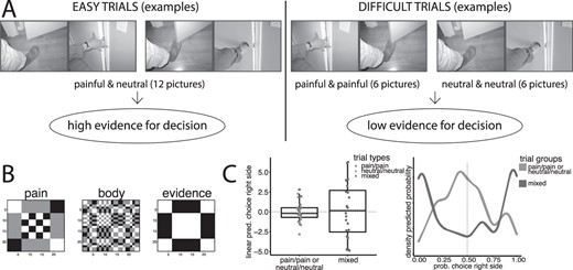 A) Examples of images from Jackson et al. (2005), showing trial arrangements leading to trials with high evidence for decisions (one image painful, one neutral) and trials with low evidence (both images of the same type). Note that this design makes it possible to select trial mages so that in the contrast for decision evidence the same images are involved in both terms of the contrast. B) Representational similarity maps used in the study (rearranged to highlight structure). C) Boxplot of linear predictions of right-side choice (random effects of trials) in mixed trials and painful/painful or neutral/neutral trial (left), and density of predicted probabilities of choice of right side for trials in the 2 conditions of the experiment (right).