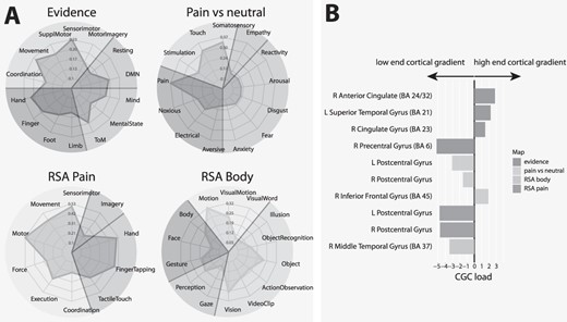 A) Decoding analysis of the effects of evidence for decisions and the contrast pain vs neutral images (top), and of RSA of imminent pain and body parts (bottom). DMN: default mode network; TOM: theory of mind. B) Average load of significant clusters on connectivity gradient component. CGC load: Average load on connectivity gradient component: L, R: left, right. The anatomical labels refer to the peak of the cluster (from www.talairach.org). For more information about the clusters and their peaks, see the Tables in the Supplementary Material.