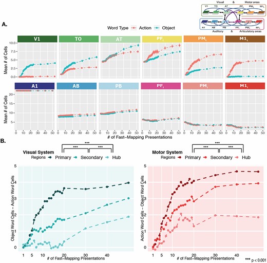 Category-specific topographies across fast-mapping. A) Mean action vs object word CA cells across areas. Emerging category-specific topographical distributions of CAs across learning steps. The y-axis captures the mean number of cells belonging to CAs of that word type, which are calculated specific to each area, at each learning step indicated on the x-axis. Learning steps run from 1 to 50 (with each vertical white line indicating 10). Error bars reflect SE. The schematic in the top-right corner showing the color-coded areas is adapted from Tomasello et al. 2018. B) Category-specificity between region types. The y-axes reflect the difference in mean number of CA cells between the two word types, which serves as a measure of the degree of category-specificity. The left plot in blue depicts the difference between object and action words in extrasylvian visual regions, with the primary region referring to V1, the secondary to TO, and the hub to AT. The right plot in pink depicts the difference between action and object words in extrasylvian motor regions, with the primary region referring to M1L, the secondary to PML, and the hub to PFL. The significance indicators (*) at the legends refer to pairwise comparisons between area types collapsed across learning steps, and P-values have been Bonferroni corrected.