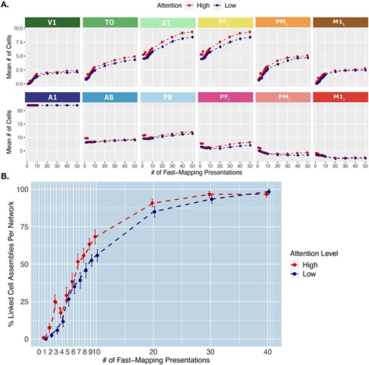 Effect of attention on fast-mapping. A) Mean cell counts per area and attention condition across learning. Emerging distributions of cell counts across learning steps in each attention condition. The y-axis captures the mean number of cells belonging to CAs in each area, collapsed across word-types, at each learning step on the x-axis. The baseline-attention condition reflects the baseline condition in which global inhibition is kept at 0.70 throughout learning (blue line). The high-attention condition reflects a condition in which a global inhibition of 0.50 for the first three learning steps, and then raised to baseline (0.70, red line). Error bars reflect SE. B) Rate of linking per attention condition. The y-axis depicts the percentage out of the CAs per network that have linked such that auditory input reactivates at least 10% of the referent representation in the associated extrasylvian areas (V1, TO, and AT for objects and M1L, PML, and PFL for action words). This is computed across the different fast-mapping learning steps, on the x-axis. Error bars reflect SE.