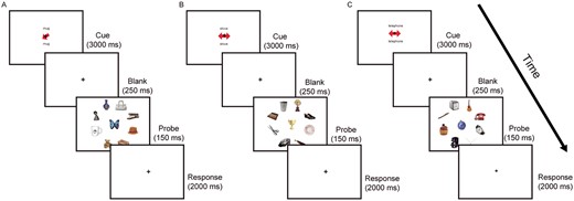 Participants were trained and later scanned with three separate conditions: A) during STIM-guided attention, a red arrow prompted the participants to direct their attention and indicate whether the object in the location was a match to the named category, B) in the LTM-retrieval condition, the double-sided red arrows were uninformative, and participants had to indicate whether the central object was a paired-associate of the category word by memory, C) for LTM-guided attention, the double-sided arrows were again uninformative, however here participant were instructed to direct their attention to the paired location of the category word, and indicate whether the paired object was in the correct location. Original figure from Rosen et al. 2018, Cerebral Cortex.