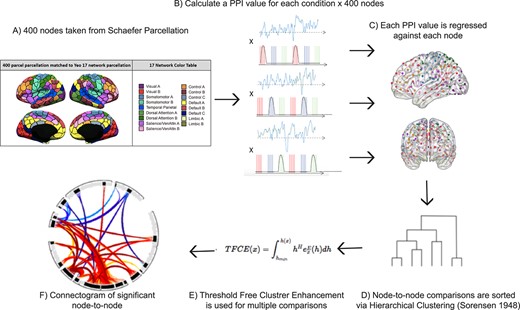 Step by step method of gPPI analysis implemented in Conn toolbox. A) an inflated image of the 400 cortical nodes matched to the Yeo 17-network atlas (adapted with permission from https://github.com/ThomasYeoLab/CBIG/tree/master/stable_projects/brain_parcellation/Schaefer2018_LocalGlobal). B) A representation of the psychophysiological index regressors utilized in the gPPI analysis. For each of the three conditions, LTM-guided attention, STIM-guided attention, and LTM-retrieval, the block design was multiplied by the time-series of each of the 400 nodes separately to create individual PPI regressors. C) each PPI regressor is used to compute beta values for all possible pairwise comparisons amongst the 400 nodes. D) Beta values were extracted and sorted using hierarchical clustering available in Conn toolbox. This clustering method groups nodes together based on functional similarity and anatomical proximity. E) Threshold free cluster enhancement (TFCE) with P < 0.01 is run to correct each node-to-node connectivity pair for multiple comparisons. F) a node-to-node connectogram is constructed within Conn toolbox that displays clusters of connections between ROIs that pass TFCE correction.
