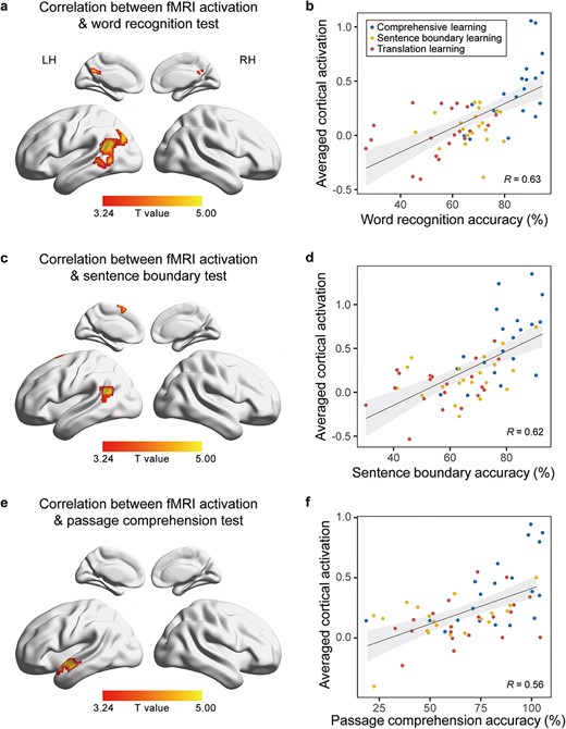 Correlation between fMRI activation and behavioral performance. The left panel shows the whole-brain correlation between fMRI activation and behavioral performance on different tests (voxelwise P < 0.001, FWE-corrected cluster-level P < 0.05, Bonferroni corrected). The right panel shows the scatter plots between individual behavioral performance and the mean fMRI activation in areas significantly correlated with the behavior performance.