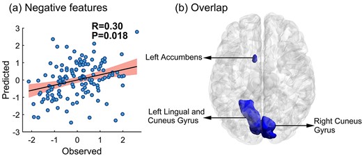 The P-value here was obtained following 1,000 permutation tests. a) The prediction performance of right hippocampal negative features based on the Brainnetome atlas; b) brain map highlighting the right hippocampus consistent negative features that overlapped across the 2 parcellation approaches (colored in blue); visualization generated with BrainNet Viewer (Xia et al. 2013). In the scatter plot, the X-axis represent the Z-normalized memory suppression ability, calculated as the recall percentage of the Baseline condition minus the No-Think condition on the conditionalized IP test, and the Y-axis represents the Z-normalized predicted score. The shaded area in the scatter plot represents the 95% confidence interval.
