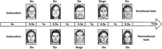 Task flow of fMRI in emotional Go/Nogo paradigm. Each stimulation lasted for 500 ms, and the stimulation interval was 1,000 ms. instructions lasts for 4,000 ms before the start of each block. Each block lasts for 36 s and contains 16 targets and 8 distractors, which constantly appear through a pseudo-random sequence.
