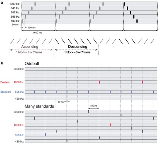 Auditory prediction and prediction error responses evoked through a ...