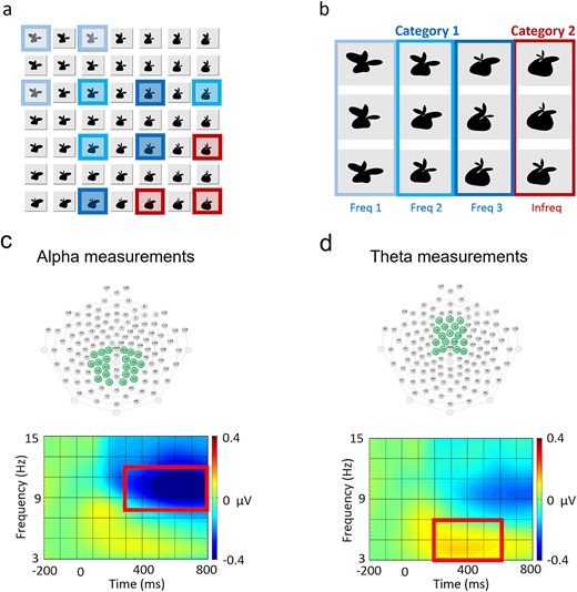 Design and analysis of the experiment. (a) A region of the stimulus space defined by the latent parameters mapped continuously onto an arbitrary two-dimensional plane. The sampled stimuli used in the study are indicated with border and background coloring where the color and brightness indicate one of the used arrangements of subcategories within the design. (b) Stimuli comprising the frequent (upper left region in blue) and the infrequent (lower right corner in red) categories. Stimulus groups in the frequent category were defined in a pilot categorization behavioral test using worse discrimination performance as an indicator of higher similarity to the other, infrequent category. (c–d) ROIs and time window with frequency band defined for alpha (c) and theta response analysis (d). The ROI of P300 ERP measurements were the same as for alpha responses (c).