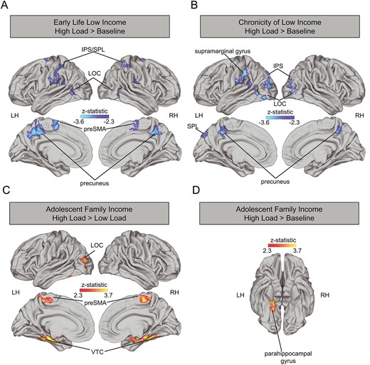 Association early childhood income (A), chronicity of low income (B) and adolescent log income-to-needs ratio (D) and neural activation during high load vs. baseline and between adolescent log income-to-needs ratio and neural activation during high load vs. low load (C). Analyses control for age and sex. LH: left hemisphere, RH: right hemisphere, IPS: intraparietal sulcus, SPL: superior parietal lobe, LOC: lateral occipital cortex, VTC: ventral temporal cortex, PreSMA: presupplementary motor area.