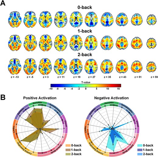 Group activation results for different levels of working memory load (0-back versus rest; 1-back versus rest; 2-back versus rest). A. One-sample t-test results displayed at P < 0.05 FDR correction for multiple comparisons. B. Spider plots depict the coverage percentage relative to the total size of different brain networks.