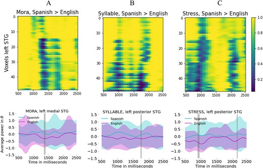 Top row: $P$-value map for the comparisons between groups yielding in all cases, Spanish > English. Bottom row: average power and SD across subjects, voxels, and trials for left mSTG and left pSTG.