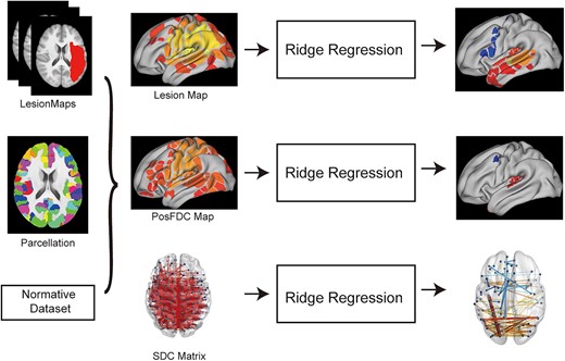 Schematic flowchart of the analysis. Individual atlas-based lesion maps, PosFDC maps, and SDC matrices were used as dependent variables for predicting linguistic task scores using ridge regression with 10-fold cross-validation. The output of interest from the ridge regression was a vector or matrix of the significant weights.