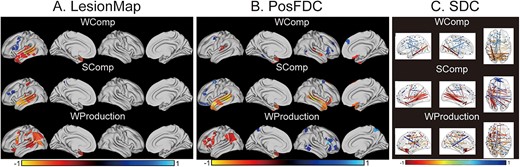 Significantly contributing features derived from the prediction models. Panel (A) LesionMap. (B) PosFDC map. (C) SDC matrix. All regions and edges shown in color survived a significance threshold of P < 0.05, permutation-based FWE-corrected. Negative weighting represents regions and edges predicting more severe deficits, while positive weighting represents regions and edges predicting fewer deficits.WComp = spoken word comprehension; SComp = spoken sentence comprehension; WProduction = spoken word production.