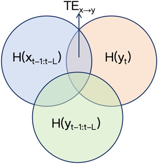 The Venn diagram of ${TE}_{x\to y}$.