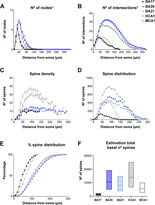 Estimation of total number of spines in basal arbor. Graphs showing the A) number of corrected basal nodes, B) number of corrected intersections, C) spine density (per 10 microns), D) estimated number of spines distribution, E) cumulative percentage of the estimated number of spines distribution, F) range estimation of total basal number of spines for the different groups. Note that the percentage of spines distribution is remarkably similar between human temporal and hippocampal regions (E), despite the differences in branching complexity and spine density (B and C). Measurements are reported as mean ± SEM. The statistical significance of the differences is shown in Supplementary Table 10. *Numbers were corrected assuming reconstructed neurons represent two-thirds of the total size (see Materials and methods for further details).