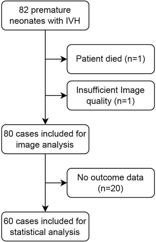 Flowchart with patient cohort and excluded cases.