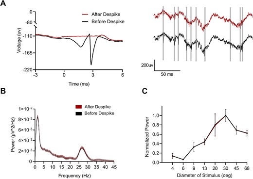 Negligible impact of spike leakage on the gamma tuning recorded by S-E. A) Raw data with spiking activity and no spiking activity removal by Bayesian algorithm. B) PSD of the LFP before and after removing spikes within a 200 ms window. C) Size tuning of gamma oscillations before and after spiking removal.
