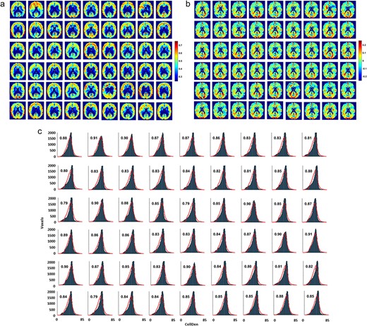 a) Predictions of normalized individual CellDen for each of the 54 ADNI test subjects using the individually trained high-smoothing ANN model. Cubic Gaussian-smoothing sigma ${\sigma}^3$ used for the network are 0, 1, 8, 64, and 512. Order of ADNI subjects same as in Supplementary Table S1. As with the SynDen predictions, the same ANN architecture predicts the range and spatial patterns expected for CellDen. Predictions were closer to the mean with lower standard deviation than in the reference standard, to a greater degree than present in the SynDen predictions, with standard deviations ranging from 0.063 to 0.093, compared to 0.16 in the reference standard dataset, reflecting the challenge of predicting the same CellDen reference standard regardless of ADNI subject and demonstrating low overfitting. Similar to the SynDen results, we normalized the data to correct for mean and standard deviation, presumably low as a result of our lack of individualized reference standards for each subject. This achieves predictions that are qualitatively very similar to our ex vivo histology-based reference standard. Overall, spatial correlations of the subject predictions with our reference standard range from 0.44 to 0.65, averaging 0.58 across subjects. b) Absolute differences in CellDen predictions for the 54 subjects compared to the reference standard. The patterns of over- and under-predictions with respect to the reference standard seem to show more similar patterns to each other than for the SynDen predictions. For example, patterns of over- and under-predictions in the visual cortex area (bottom of the slices shown near the visual cortex area) are highly conserved between subjects. On the one hand, this is evidence that our ANN is not overfitting the data due to spatial information inadvertently provided in the training datasets, in addition to MPRAGE, ADC, and FA information, since then the network could have learned away these systematic deviations correcting its prediction in the visual cortex area. One possible reason for these systematic deviations from the reference standard is that the CellDen reference standard, which was from a single subject, is not representative of the population at large (a problem which was not present with the SynDen reference standard, which was a group average). It could be that the network did indeed learn the appropriate relationships to predict CellDen from the limited data that it was provided, and systematically predicts “individual differences” from the reference standard for the 54 subjects, when in reality the individual differences is present in the single subject reference standard. c) The associated CellDen histograms for the individual predictions with the continuous red lines showing the reference standard histogram, with individual subjects presented in the same order. The x axis is in the original (relative) scale of image intensities before normalization for ANN training. The fractional overlap of the prediction histogram for each subject with the reference standard is displayed on each histogram. The overlap between subject CellDen histogram predictions with the reference standard range from 0.79 to 0.91, averaging 0.85 across subjects, demonstrating that, similar to our SynDen predictions, our CellDen predictions achieve the range and spatial patterns expected.