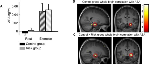 Endocannabinoid results. (A) Increase in the AEA plasma concentration after exercise compared with after rest for both groups. (B) Whole-brain correlation for the control group between individual AEA increases (after exercise minus after rest) and the fMRI contrast between exercise and rest for all associative memory trials (direct inference 1 and inference 2), showing a significant correlation in the right hippocampus (replication of Marin Bosch et al. 2021). (C) Group difference (control > risk) for whole-brain correlations with AEA, showing the implication of the right medial temporal cortex (at the superior limit of the hippocampal formation).
