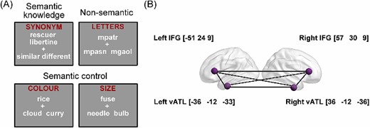(A) Example items from each task in our dataset and (B) seed ROIs of left and right vATLs and IFGs and their MNI coordinates.
