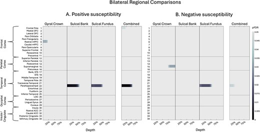 Bilateral regional curvature and depth results. Color maps demonstrate differences in magnetic susceptibility at each cortical depth (where 0% depth is proximal to the pial surface and increases toward the GM/WM boundary at 100% depth), separately for each curvature bin (crown, bank, fundus) as well as combined curvature as a whole-ROI measure. Two-tailed independent-sample t-tests examined group differences in net susceptibility at each depth, for each curvature, at each ROI. P-values were corrected for multiple comparisons across 21 cortical depths using FDR. A) Net positive susceptibility values were significantly more positive for participants with sr-mTBI than healthy controls in temporal ROIs and significantly less positive in frontal regions only. B) Net negative susceptibility values were significantly less negative for sr-mTBI participants than controls in temporal ROIs and significantly more negative in parietal ROIs. OFC = orbitofrontal cortex; mPFC = middle prefrontal cortex; STS = superior temporal sulcus; LOC = lateral occipital cortex; ACC = anterior cingulate cortex. Figure based on Merenstein et al. (2024).