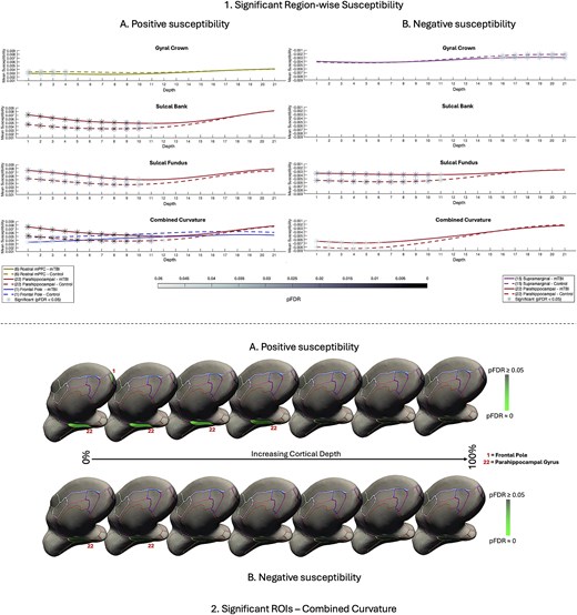 Significant region-wise susceptibility values. 1) Differences in net sign-wise susceptibility values between mTBI participants and controls for significant regions of interest only. A) Net positive susceptibility values were significantly higher for participants with mTBI than healthy controls in superficial depths of the sulcal bank and fundus of the parahippocampal gyrus, as well as when curvature was combined. Values were significantly less positive for mTBI participants superficially in the gyral crown of the rostral mPFC and the superficial frontal pole when curvature was combined. B) Net negative susceptibility values were significantly less negative for mTBI participants than controls in the superficial depths of sulcal fundus in the parahippocampal gyrus, as well as when curvature was combined. Values were significantly more negative after mTBI deep in the supramarginal gyral crown. Susceptibility is measured in parts per million (ppm). mPFC = middle prefrontal cortex. 2) Medial visualization of significant ROIs after mTBI for both net positive A) and net negative B) susceptibility maps when curvature was combined as a whole-ROI measure. Surface lines demarcate borders between ROIs, projected onto an inflated surface. Significant ROIs are filled; intensity values relate directly to pFDR significance level. For visualization purposes, depth was reduced from 21 to 7 by averaging pFDR values every 3 consecutive depths where 0% is proximal to the pial surface and 100% to the GM/WM interface.