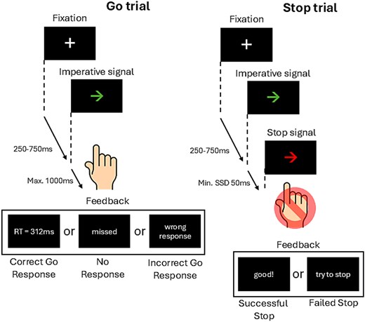Schematic illustration of a trial sequence in the SST. Participants were instructed to respond to an imperative go signal (green left- or right-pointing arrow) using their right index finger by pressing the corresponding key on a computer keyboard. Participants kept their index finger on the down arrow key on the keyboard between trials to avoid biasing the response. During stop trials (25% of the total trials), where the previously presented green arrow would turn red after a dynamic delay (SSD), participants had to withhold their response. SSD on the subsequent stop trial was increased or decreased by 50 ms following successful or unsuccessful stopping, respectively.