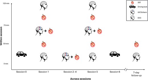 Project timeline within and across sessions. Participants received tACS over 5 sessions (sessions 1–5) across a 2-wk period, with 1–2 d between each session. rsEEG was recorded in sessions 1 and 5, as well as during FU sessions at 7 d post-intervention. Driving task performance was assessed in session 0 (baseline) and session 6 (post-intervention). In sessions 1–5, participants performed the SST during tACS application. Additionally, in sessions 1 and 5, the rsEEG and SST were administered both before and after tACS to examine within-session effects. During the FU sessions, the SST was performed without tACS.