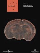 Cerebral Cortex Cover Image for Volume 17, Issue 11