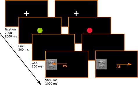 Schematic representation of the antisaccade task. Participants are instructed to look toward the appearing visual stimulus (i.e., produce a prosaccades, PS) when the visual cue following the fixation cross is a green dot. They are instructed to look to the opposite side of the appearing visual stimulus (i.e., produce an antisaccade, AS) when the visual cue following the fixation cross is a red dot.