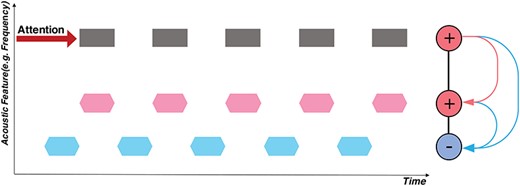 Schematic of attention and the temporal coherence principle. The horizontal axis is time, and the vertical axis depicts an arbitrary feature dimension of interest (e.g., spectral frequency, fundamental frequency (pitch), or location). A total of 3 separate sequences of sound tokens are depicted: two are synchronized (in black/pink), alternating (or de-synchronized) with another sequence (in blue). If attention is focused on the black sequence, its neural responses become enhanced. Because of its temporal coherence with the pink sequence, mutual excitation causes the two to bind, thus becoming enhanced together. By contrast, the blue stream is asynchronous (temporally incoherent), and hence it is suppressed by rapidly formed mutually inhibitory interactions (depicted in blue).