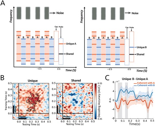 (A) The stimulus consisted of two complex sequences with inharmonic frequencies—the frequency components of the complex tones were the same as experiment 2—and a sequence of noise as a target stream. In each trial, subjects were instructed to always attend and count intensity deviants in the target noise sequence. At the end of each trial, we probed a unique frequency channel to tone complex A (e.g., left panel) or complex B (e.g., right panel) or shared between the two complex tones (e.g., both panels). (B) Decoding performance for unique (left) and shared (right) probe-tones. Classifiers trained and tested separately at each time in a 600 ms time window of the probe-tone (−100 to 500 ms). The significant cluster is contoured with a dashed line. The classifiers could decode attention only when the probes are unique components (P = 0.004). There is a statistical difference between the unique and shared scores as depicted in Supplementary Fig. S9. (C) Comparison between the difference in responses to unique A and unique B probe-tones for two attentional conditions for the first DSS component (Supplementary Fig. S10; see Materials and Methods). There were significant differences for shaded areas (larger than 2σ), with reverse polarity for attend A and attend B, suggesting the opposite effect of attention on coherent and incoherent tones (i.e., enhancement and suppression) (n = 14).