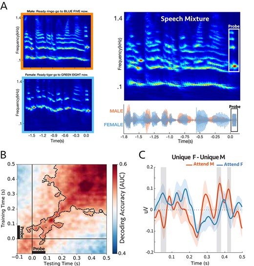 (A) A sample stimulus for experiment 4a. Top-left: cochlear spectrogram of the male voice. Bottom-left: cochlear spectrogram of the female voice. Note the probe-tone at the end. Right: cochlear spectrogram and acoustic waveform of the mixture. All the sentences had the same length (1.8 s). The participants were instructed to report the color or the number by the target voice. During the task, the auditory scene consisted of two concurrent speech streams followed by a 90 ms probe-tone with complex harmonics. The probe-tones harmonic frequencies were aligned with the 4 loudest harmonic frequencies of either male or female voice at the end of the sentences; therefore, the probe-tone was either unique to male or unique to female. (B) Decoding performance for the probe-tones trained and tested during the probe time window (−100 to 500 ms). The significant clusters were contoured with a dashed line. The classifiers could decode attention significantly above chance (P = 0.0002) (C) Comparison between the difference in evoked responses to unique F and unique M probe-tones for two attentional conditions at “Cz” channel (placed on the center of the mid-line sagittal plane) (Supplementary Fig. S13; see Methods). There were significant differences for shaded areas (larger than 2σ), suggesting the opposite effect of attention on coherent and incoherent tones (n = 16).