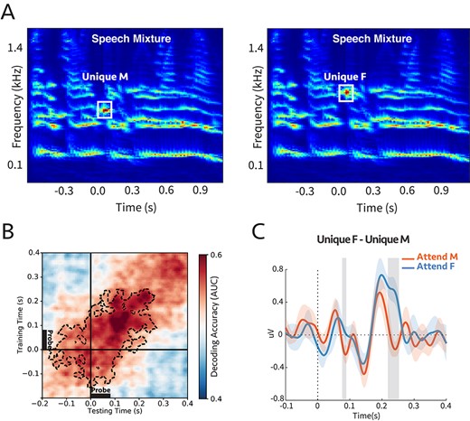 (A) Cochlear spectrogram of a sample stimulus mixture for experiment 4b. It consisted of two (male and female) voices. The participants were instructed to report the color or the number of the speaker who uttered the target call-sign. The probe’s frequency was aligned with the second or third harmonic of the female or male, respectively. Therefore, the probe-tone was either unique to male (unique M) or unique to female (unique F). (B) Decoding performance for the probe-tones. Classifiers trained and tested separately at each time in a 600 ms time window of the probe-tone (−200 to 400 ms). Cluster-corrected significance was contoured with a dashed line. The classifiers could decode attention significantly above chance for up to 280 ms after the probe-tone onset (P = 0.015). (C) Comparison between the difference in evoked responses to unique F and unique M probe-tones for two attentional conditions at Cz channel (placed on the center of the mid-line sagittal plane) (Supplementary Fig. S15; see Materials and Methods). There are significant differences for shaded areas (larger than $2\sigma$), suggesting the opposite effect of attention on coherent and incoherent tones (n = 7).
