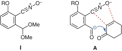 Stable benzonitrile oxide I.