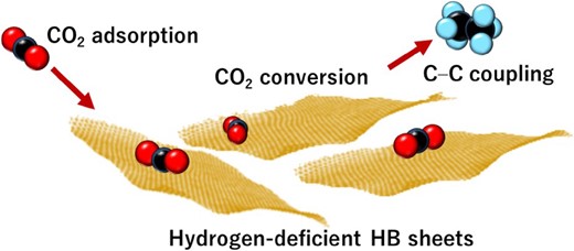 Schematic of CO2 adsorption and conversion to C2H6 via C–C coupling on hydrogen deficient HB sheets.65