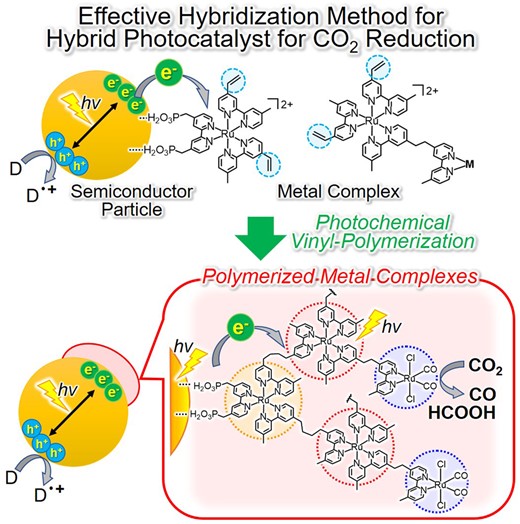 Hybrid photocatalysts constructed with metal complexes and semiconductors are notable photocatalysts for selective CO2 reduction using abundant electron donors.We herein report a new hybridization method using reductive polymerization of vinyl groups in metal complexes triggered by excited electrons on seductis lyenhanced the adsorption amount and durability of metal complexes，thus increasing the photocatalytic performance。