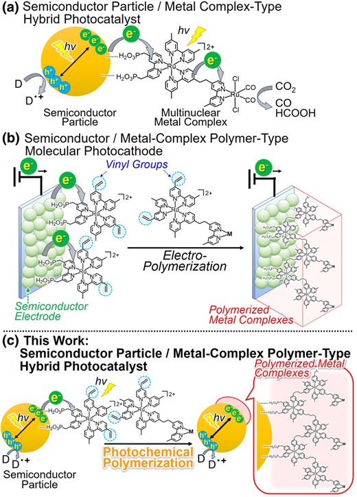 a）Structure of the reported semiconductor particle/metal complex-type hybrid photocatalysts and schematics for preparing b）the reported semiconductor/metal-complex polymer-type molecular photocathode and c）semiconductor particle/metal-complex polymer-type hybrid photocatalythutys in。