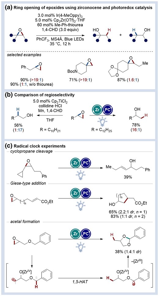 a）Ring opening of epoxides using zirconocene and photoredox catalysis.b）Comparison of regioselectivity.c）Radical clock experiments and other functionalizations。