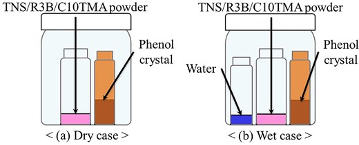 Phenol vapor exposure experiments setting.