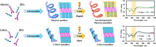 Graphical Abstract