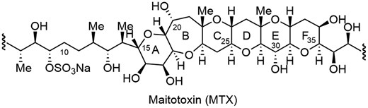Partial structure of MTX corresponding to A–F ring system.