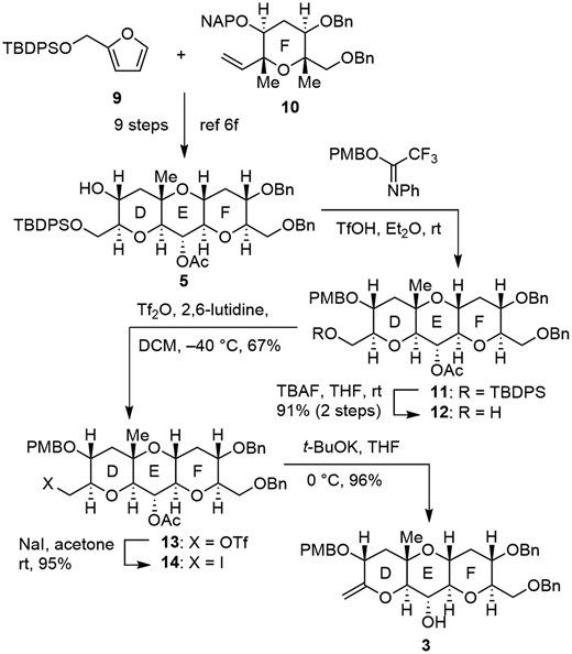 Synthesis of exo-olefin 3 corresponding to DEF ring of MTX.