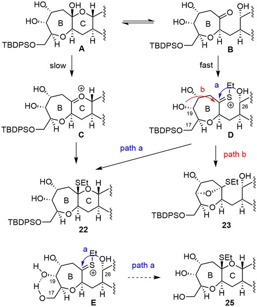 Plausible reaction pathways for O,S-acetal formation.